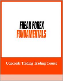 Freak Forex Fundamentals