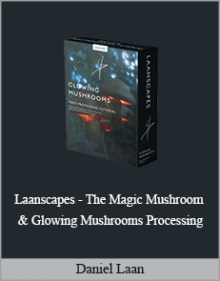 Laanscapes - The Magic Mushroom & Glowing Mushrooms Processing