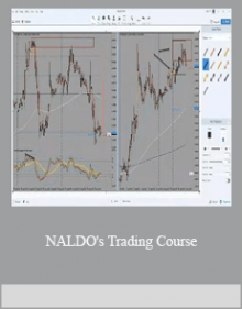 NALDO's Trading Course