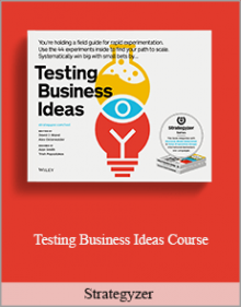 Strategyzer - Testing Business Ideas Course