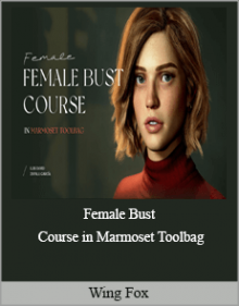 Wing Fox - Female Bust Course in Marmoset Toolbag