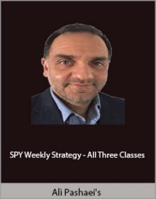 Ali Pashaei's - SPY Weekly Strategy - All Three Classes