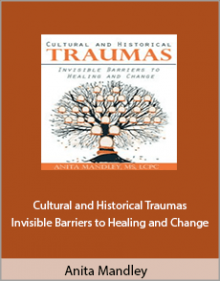 Anita Mandley - Cultural and Historical Traumas Invisible Barriers to Healing and Change.