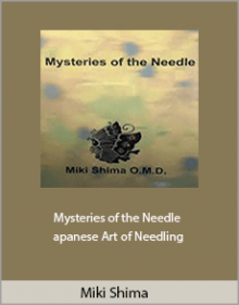 Miki Shima - Mysteries of the Needle - Japanese Art of Needling.Miki Shima - Mysteries of the Needle - Japanese Art of Needling.