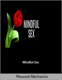 Pleasure Mechanics - Mindful Sex.Pleasure Mechanics - Mindful Sex.