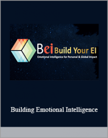 Building Emotional Intelligence.