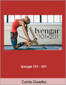 Carrie Owerko - Iyengar 101 - 201.