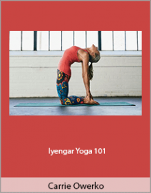 Carrie Owerko - Iyengar Yoga 101.