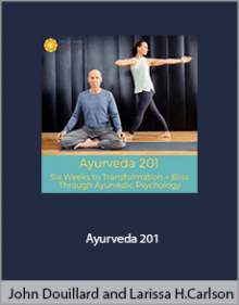 John Douillard and Larissa Hall Carlson - Ayurveda 201.