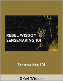 Rebel Wisdom - Sensemaking 101.