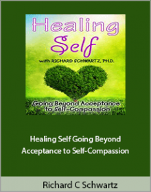 Richard C Schwartz - Healing Self Going Beyond Acceptance to Self-Compassion.