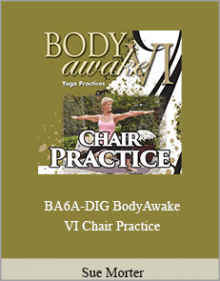 Sue Morter - BA6A-DIG BodyAwake VI Chair Practice.