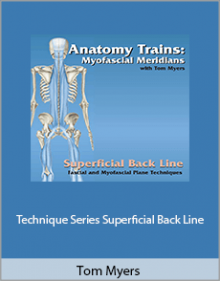 Tom Myers - Technique Series Superficial Back Line.