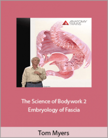 Tom Myers - The Science of Bodywork 2 Embryology of Fascia.