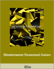 8Dio - Blendstrument Paranormal Guitars.