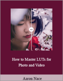 Aaron Nace - How to Master LUTs for Photo and Video.