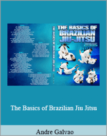 Andre Galvao - The Basics of Brazilian Jiu Jitsu.