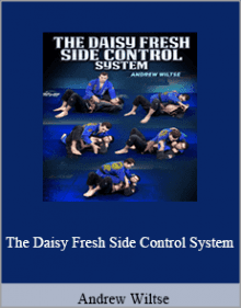 Andrew Wiltse - The Daisy Fresh Side Control System.