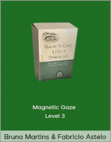 Bruno Martins and Fabricio Astelo - Magnetic Gaze Level 3.