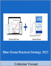 Catherine Vassant - Blue Ocean Practical Strategy 2022.