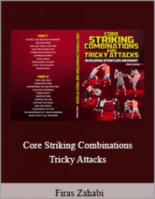 Firas Zahabi - Core Striking Combinations and Tricky Attacks.