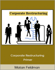 Matan Feldman - Corporate Restructuring Primer.