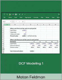 Matan Feldman - DCF Modeling 1.