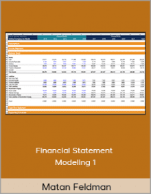 Matan Feldman - Financial Statement Modeling 1.