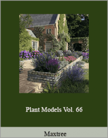 Maxtree - Plant Models Vol. 66.Maxtree - Plant Models Vol. 66.