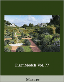 Maxtree - Plant Models Vol. 77.