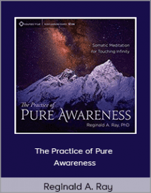 Reginald A. Ray - The Practice of Pure Awareness.