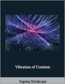 Sapien Medicine - Vibration of Creation,