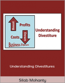 Silab Mohanty - Understanding Divestitures.