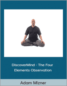 Adam Mizner - DiscoverMind - The Four Elements Observation.