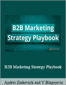 Andrei Zinkevich and Vladimir Blagojevic - B2B Marketing Strategy Playbook.