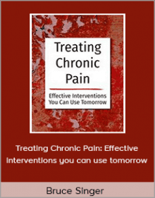 Bruce Singer - Treating Chronic Pain: Effective interventions you can use tomorrowBruce Singer - Treating Chronic Pain: Effective interventions you can use tomorrow