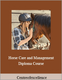 Centreofexcellence - Horse Care and Management Diploma Course.