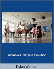 Dylan Werner - AloMoves - Vinyasa Evolution.