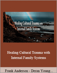 Frank Anderson - Deran Young and Richard C. Schwartz - Healing Cultural Trauma with Internal Family Systems.