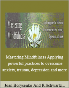 Joan Borysenko And Richard Schwartz And Terry Fralich - Mastering Mindfulness Applying powerful practices to overcome anxiety, trauma, depression and more.