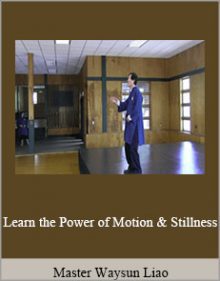 Master Waysun Liao - Learn the Power of Motion and Stillness.