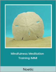 Noetic - Mindfulness Meditation Training IMMI.