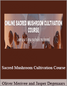 Oliver Merivee and Jasper Degenaars - Sacred Mushroom Cultivation Course.