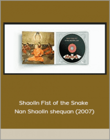 Shaolin Fist of the Snake - Nan Shaolin shequan