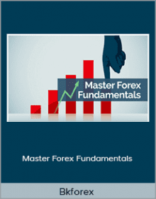 Bkforex - Master Forex Fundamentals.