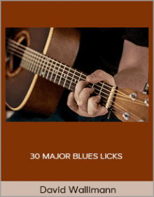 David Wallimann - 30 MAJOR BLUES LICKS.