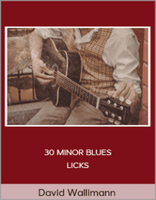 David Wallimann - 30 MINOR BLUES LICKS.