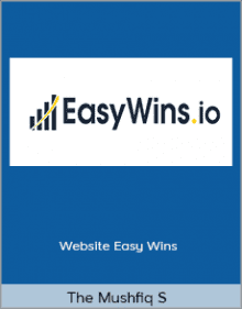 The Mushfiq S - Website Easy Wins.