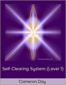 Cameron Day – Self-Clearing System (Level 1)