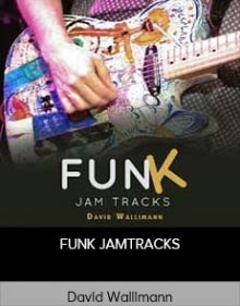 David Wallimann - FUNK JAMTRACKS